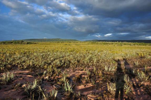 Caminhando nas vastidões da Gran Sabana, na Venezuela